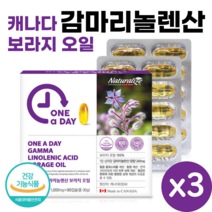 캐나다 보라지 꽃 종자유 감마리놀렌산 90캡슐 식약처 인증 보라지유 여성 월경전 생리전 불편 개선 PMS Borage Gamma Linolenic Acid, 3개(9개월), 원어데이 감마리놀렌산 90캡슐, 3개