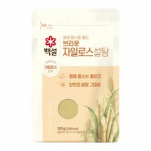 CJ 식자재 단짠단짠 백설 브라운 자일로스 설탕 500G 요리레시피 2개, 6세트