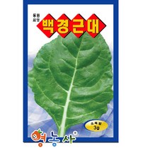 백경 근대씨앗 3g, 백경근대