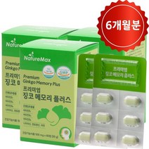 프리미엄 징코 메모리 플러스 혈액순환 혈행개선 두뇌 기억력 영양제 수험생 기억력 개선 은행잎추출물 2개월분, 500mg, 3개