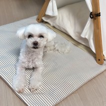케이트가든 커버 분리 쿨매트 고양이 강아지 반려동물 여름 방석, 브라운