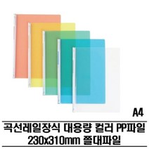 기타 레일클리어홀더 대용량 PP파일(A4) 300P 쫄대파일, 적색