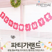 (주)파티해 파티 가랜드2 D-G - 생일 프로포즈 기념일 캠핑 홈데코 조화 여름 축하 환영, F01.(제작)펠트커플이니셜가랜드-핑크