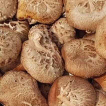 국산 생표고버섯 육수용 1kg 표고버섯육수, 1개