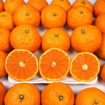 [미네픽] 고당도 달콤한 제주 카라향 감귤 황금향 가정용 선물용 3kg 5kg 10kg, 제주카라향 선물용 10kg