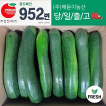 <해돋이농산> 국내산 쥬키니호박 주키니호박 못난이호박 5kg 10kg, 1개” class=”wr-img”></a></div></div></div></div><div class=