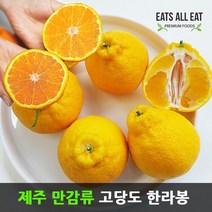 이츠올릿 제주도 고당도 한라봉 3kg (가정용 중소13과) 제주 하우스 귤 택배 선물 세트