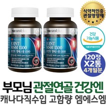 네츄럴플러스 관절연골 건강 JOINT 엠에스엠 생선콜라겐 상어연골 디메틸설폰 초록입홍합 캐나다 MSM 비타민D