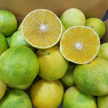 (푸드) 제주직송 제철 꼬마 황금향 제주도 만감류 가정용, 2kg, 1개