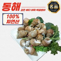 자연산 동해안 활 백골뱅이 1kg 대 (15-25미), 활 백골뱅이 1kg 소 (35-45미)