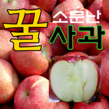 [산지직송] 2022년 햇사과 부사 소미네 사과, 1박스, 05.사과 가정용흠과 대과 5kg (13~14과내외)