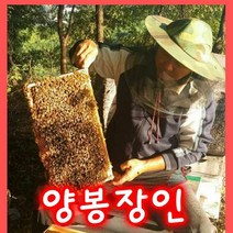 성도벌꿀 100%국내산 천연벌꿀 아카시아꿀2.4kg .감로꿀2.4kg 피나무꿀2.4kg 밤꿀 2.4kg, 밤꿀2.4kg
