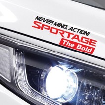 스포티지 더 볼드 로고 슬로건 시트지 스티커 범퍼, 레드