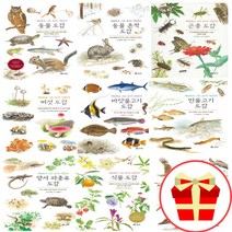 세밀화로 그린 보리 어린이 도감 시리즈 책 동물 흔적 갯벌 곤충 나무 민물 바닷 물고기 버섯 새 식물 양서류 파충류, 바닷물고기 도감