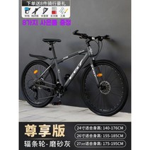 충격 방지 프레임 더블 디스크 브레이크 자갈 카고 Mtb Bicicletas 산악 자전거, 24인치, 21 속도, 스타일3