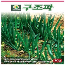 구조파 씨앗 20g