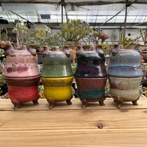 예운분 : 뚱뚱이 원형분 8가지 색상 / 용인수다육 다육이화분 고급화분, 4.연두/녹색