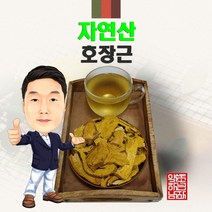 자연산 호장근 500g/300g/100g (경북 영천) 야생 국내산 국산, 300g, 1개
