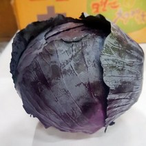적채 1통 (1Kg-1.5Kg) 국내산 적양배추, 단품