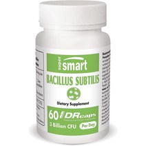 고양이유산균 설사유산균Supersmart - 바실러스 서브틸리스 하루 30억 CFU 프로바, 한개옵션0
