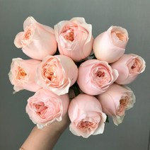 에밀리정원 장미2단 랜덤 생화 택배