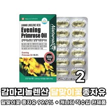 감마리놀렌산 종자유 달맞이 꽃 씨유 오일 기름 감마리노렌산 감마리놀레산 GLA 감마리놀산 비타민E 달맞이유 달마지우 달마지꽃 종자유 먹는법, 2박스, 달맞이꽃종자유 영양제 60캡슐