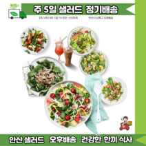 안산샐러드정기배송 2주 10일 매일배송 [ 안산샐러드 배달 ], 17~18시, D