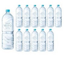 백산수 무라벨, 2L, 11개