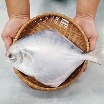 신안 손질 생물 병어 대 특대 왕특 내장제거 비늘제거 병어회 제수용, 대 사이즈 1미(450g-510g), 1개