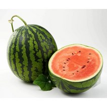 하우스수박 달콤한고당도 12 브릭스이상 달달한 꿀수박 4kg 5kg 6kg내외 왕수박, 03_가정용 꿀수박 (6~7kg)