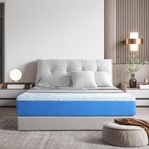 Olee Sleep 25.4cm(10인치) 쿨 실크 젤 메모리 폼 매트리스 풀 화이트 블루 원룸 침대 1408398