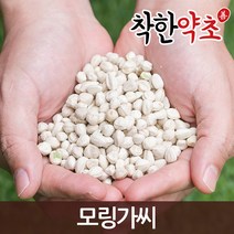 착한약초 모링가씨 200g 모링가열매씨 약초 천연비누, 1개