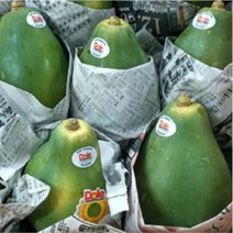 프리미엄 선물용 파파야2.5-4kg(대과 생과일), 1개, 파파야3kg(6과내외 대과)