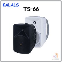 카날스 TS-66 180W 매장용 카페용 스피커 1개(통), 블랙