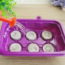 종자 스타터 환경 친화적 인 토탄 펠릿 토양 블록 씨앗 저하가 뿌리 충격 피하기 위해, 없음