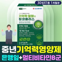 두뇌영양제 징코플러스 은행잎추출물 비타민B군 아연 혈관 혈류 개선 에좋은 진코 보충제 보조제 먹는 방법 섭취 시간 먹는법 하루 권장량 섭취량 효과 효능 중년 여성 필수 추천