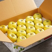 황금사과 일반용 망포장 중과 2kg 07-10과, 단품