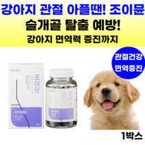 강아지 영양제 관절 조인트 슬개골탈구 애견 강아지 면역 관절영양제 글루코사민 콘드로이친 관절건강 반려견 노견 슬개골 강아지관절영양제 보스웰리아 초록잎홍합 MSM 칼슘 사은품 증정, 뼈/관절강화, 1통, 연어맛
