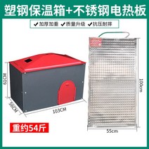 애완 동물 인큐베이터 도마뱀 사육장 거북이 파충류 부화기 돼지 보온, 【콤비】플라스틱 인큐베이터+스테인레스 전열판