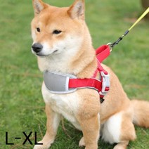 JT 3D 견체공학적 하네스 대형견 리드줄 L-XL, 스피드컴119고양일산지점 레드L