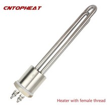 전기온수기부품 12v 가열 요소 온수기 야영자 300w600w dn25 12볼트 dc 태양열 온수기, 12v 400w BSP, 히터 실