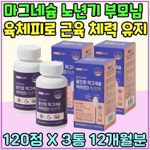 마그네슘 운동선수 에너지 대사 근육 건강 체력 유지 비타민 B D 육체피로 뼈건강 실버 노년기 눈썹 눈밑 떨림 건강식품 추천 직장인 어르신 선물 필수 영양소 활력충전 무기력 대용량