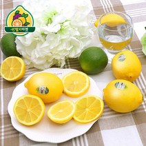 레몬한박스115  판매 순위
