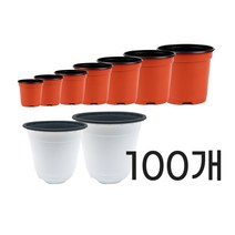 모두다 플라스틱화분 플분 모종화분 이색포트 적색 백색 100개