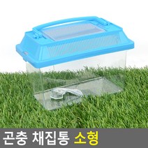 곤충 채집통 소형, 1개