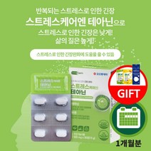 지친 하루 불안한 신경 마음 불안 초조 심신 신체 안정 스트레스 케어 에 좋은 테아닌 아연 함유 긴장 완화제, 1BOX(1개월분)