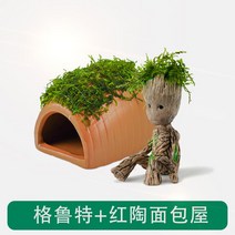 그루트 화분 캐릭터 다육이 수분 수경 이끼 조경, 모스그루트  세트 5, 단일사이즈