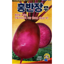 기능성 빨간 무 씨앗 종자 홍반장무 200립 / 22년 포장 안토시아닌 다량 함유로 먹으며 항암효과를 나타내는 맛있는 과일무