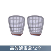 화생방방독면 방연 방독면 마스크 수방 전면 방진 전면방독 산소도장 전용 산업용 분진, 15 필터박스1맞아