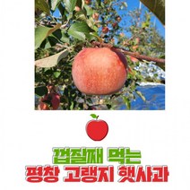 평창사과 껍질째먹는 고랭지사과 꿀부사사과 10kg 36과 내외 친환경햇부사, 상세페이지 참조